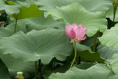 tkf002_108677