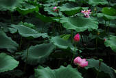 tkf002_108678