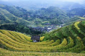 tkf002_109279