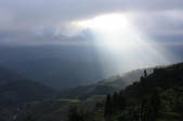 tkf002_109285