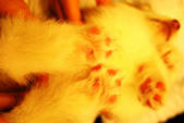 tkf002_109676