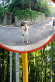 tkf002_110424