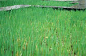 tkf002_110592