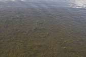 tkf002_110844
