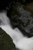 tkf002_111126