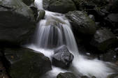 tkf002_111130