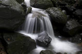 tkf002_111131