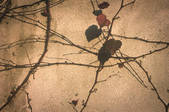 tkf002_111373