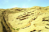 tkm002_110141