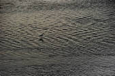 tkm002_111835