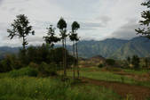 tkm002_117067