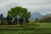 tkm002_117077