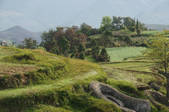tkm002_117132