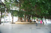 tkm002_117339