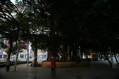 tkm002_117340