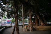 tkm002_117343
