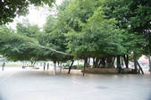 tkm002_117346