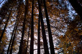tkf002_112289