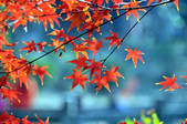 tkf002_112304