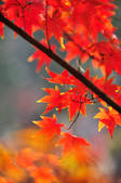 tkf002_112309