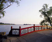 tkf005_2305384