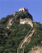 tkf005_2305390