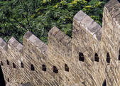 tkf005_2305391