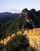 tkf005_2305392