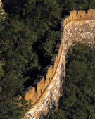 tkf005_2305394