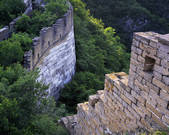 tkf005_2305401
