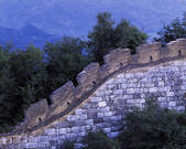 tkf005_2305403