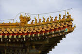 tkf005_2305709