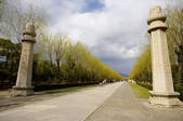 tkf005_2305767