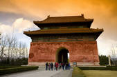 tkf005_2305772