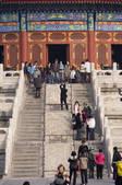 tkf005_2305879