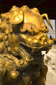 tkf005_2305965