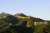 tkf005_2306395