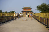 tkf005_2306434