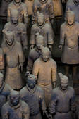 tkf005_2306452
