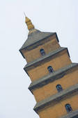 tkf005_2306579