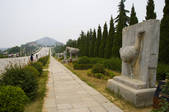 tkf005_2306599