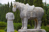 tkf005_2306601