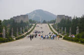 tkf005_2306602