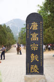 tkf005_2306612