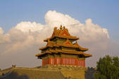 tkf005_2307928