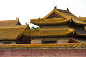 tkf005_2308042