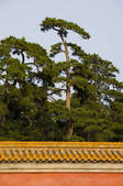 tkf005_2308057
