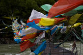 tkf005_2308676