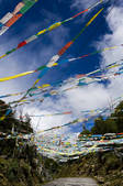 tkf005_2308713