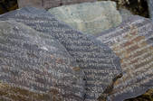 tkf005_2308726